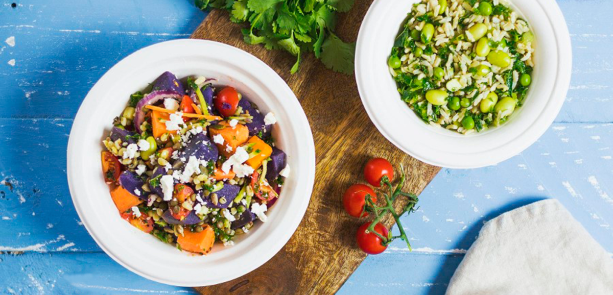 тарілки з багасси