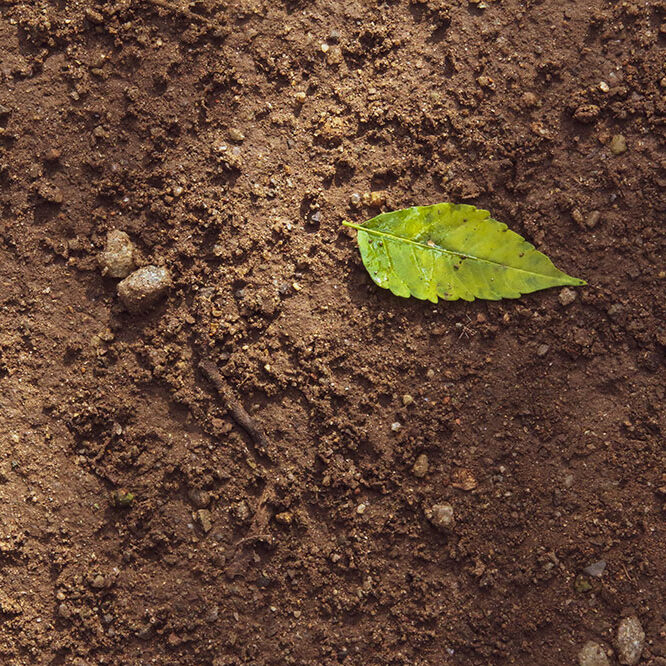 compostable-packagign-web-blog