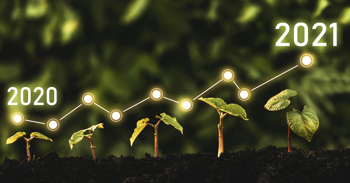 біорозкладний посуд